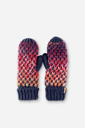 Chunky Space Dye Mitten