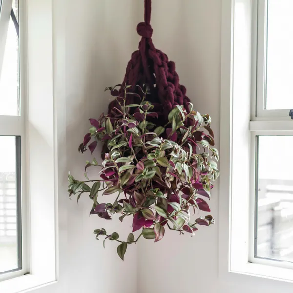 Large hanging basket | Pattern