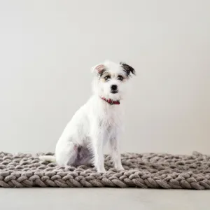 Pet mat | Pattern