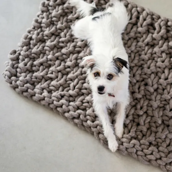 Pet mat | Pattern